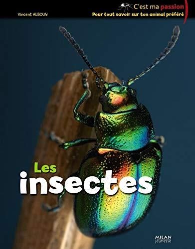 Insectes (Les )