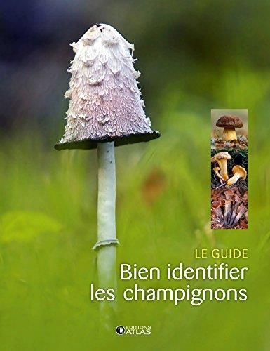 Le Guide : bien indentifier les champignons
